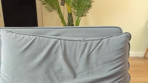 Snapshot of kyle_4u chatting on 11.05.25 Kyle online show from 11.05.25