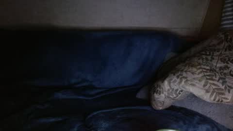 Kyle chat online show from 04.04.26