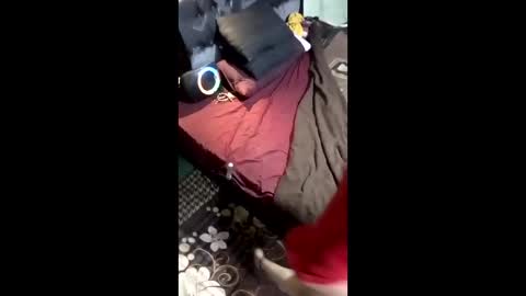 labestiareconoseme44420 online show from 03.08.26