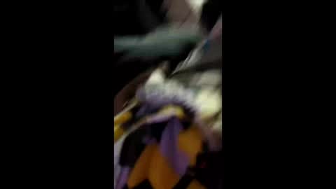 labran817 online show from 04.11.26