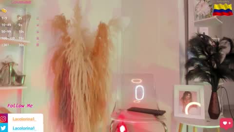 Colorina  online show from 11.05.25