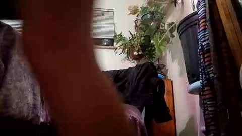 lacybell online show from 12.23.24