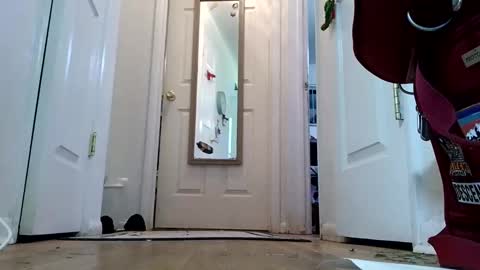 lacybell online show from 01.08.25