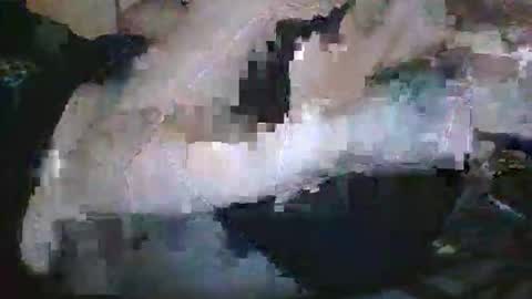 lady24x online show from 04.29.26