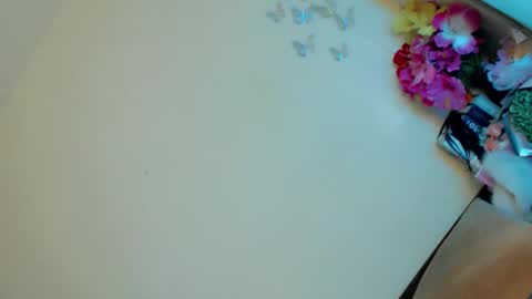 Stella online show from 02.23.25