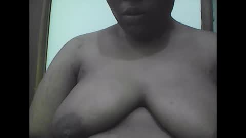 Vivy online show from 11.17.25