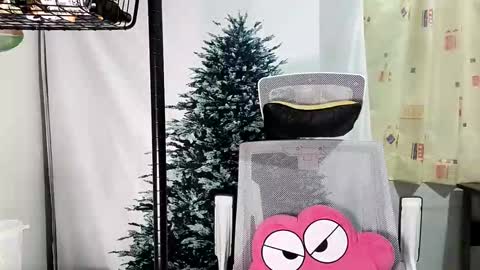 lailai6699 online show from 09.12.25