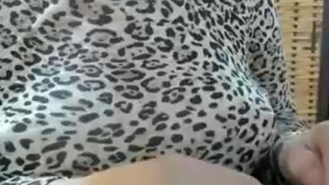 LAILA online show from 08.04.26