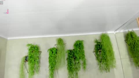 Snapshot of lana_lann chatting on 01.09.25 lana_lann online show from 01.09.25