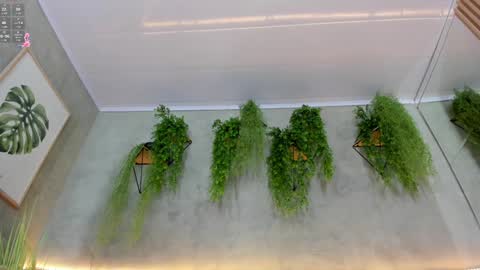 Snapshot of lana_lann chatting on 01.09.25 lana_lann online show from 01.09.25