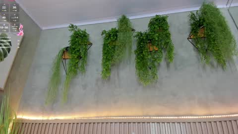 Snapshot of lana_lann chatting on 01.10.25 lana_lann online show from 01.10.25