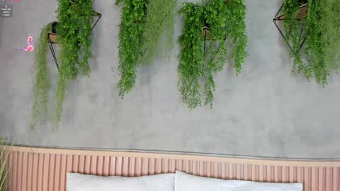 Snapshot of lana_lann chatting on 01.27.25 lana_lann online show from 01.27.25