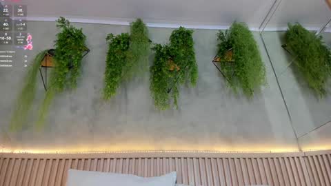 Snapshot of lana_lann chatting on 02.02.25 lana_lann online show from 02.02.25