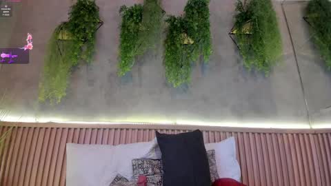 Snapshot of lana_lann chatting on 02.14.25 lana_lann online show from 02.14.25