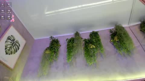 Snapshot of lana_lann chatting on 02.27.25 lana_lann online show from 02.27.25