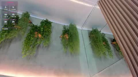 Snapshot of lana_lann chatting on 09.24.25 lana_lann online show from 09.24.25