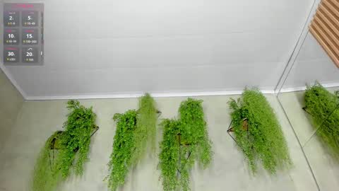 Snapshot of lana_lann chatting on 09.28.25 lana_lann online show from 09.28.25