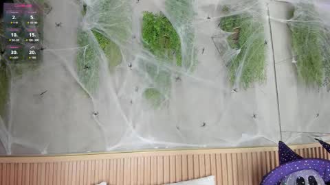 Snapshot of lana_lann chatting on 10.27.25 lana_lann online show from 10.27.25