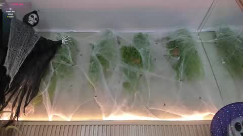 Snapshot of lana_lann chatting on 10.30.25 lana_lann online show from 10.30.25