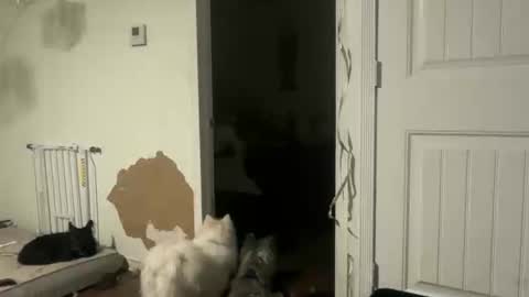 Snapshot of lanasharapovaxxx chatting on 02.18.26 lanasharapovaxxx online show from 02.18.26