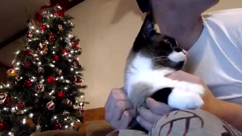 Lance online show from 12.30.24