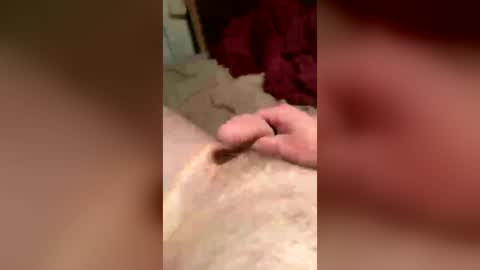 las2026 online show from 06.25.26
