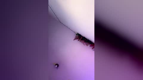 Snapshot of latin_bigcock21cm chatting on 03.04.26 latin_bigcock21cm online show from 03.04.26