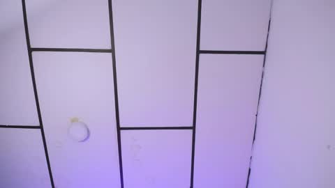 LAURA online show from 01.23.25