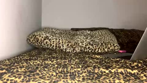 Laycee Layne online show from 09.18.25