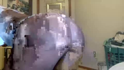 layla online show from 09.21.25