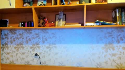 Vladi online show from 12.29.24