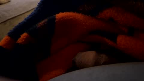 lc6173 online show from 12.27.24