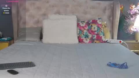 Dia online show from 12.16.25