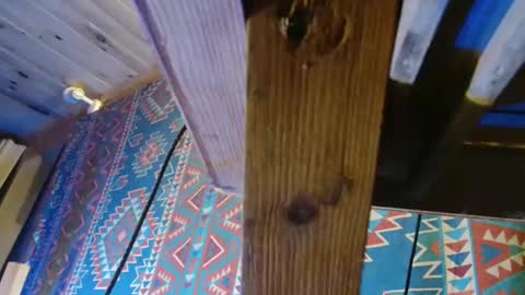 Snapshot of lefrancais33000 chatting on 12.19.24 Dliciousman online show from 12.19.24