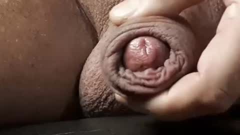 legofactory online show from 02.13.25