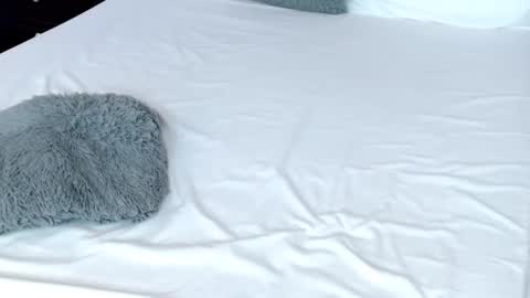 Snapshot of leonacutecam chatting on 02.19.25 LUCY online show from 02.19.25