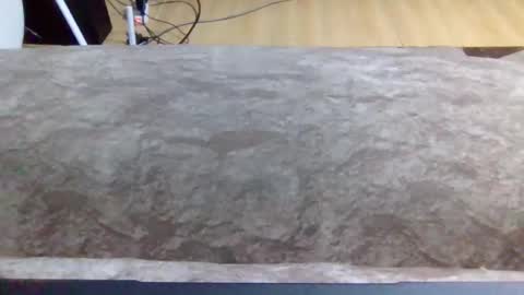 leopardking02 online show from 12.16.25