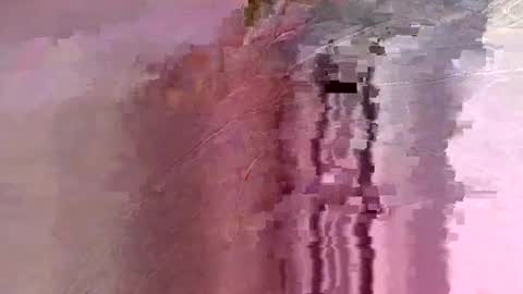 letslookateach online show from 02.26.26