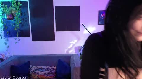 Snapshot of levity_opossum chatting on 11.26.25 Levity online show from 11.26.25