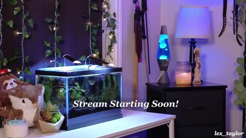 Lex online show from 12.19.24