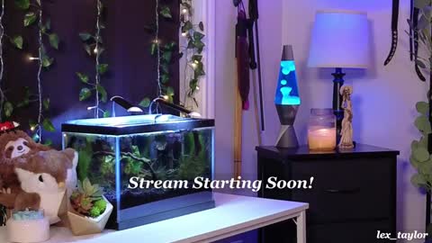 Lex online show from 01.07.25