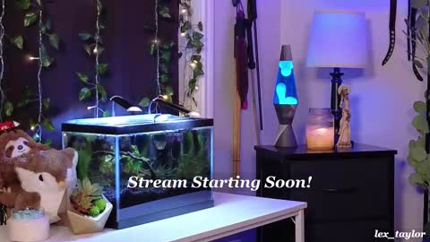 Lex online show from 02.18.25