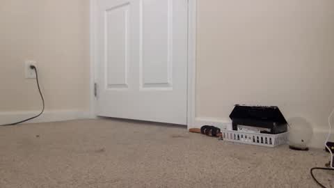 Alexia L. online show from 02.24.26