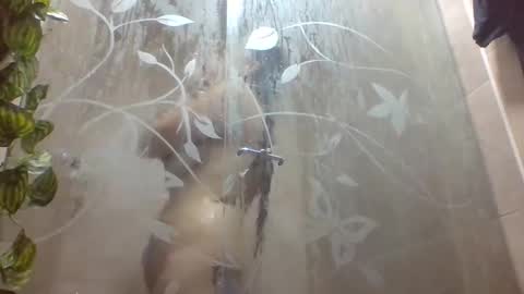 leyla_horny_bg online show from 12.22.25