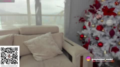 INSTA leylasteel model         online show from 12.24.24