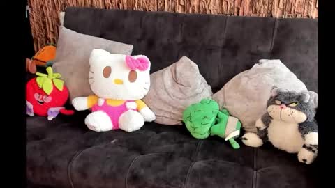 Snapshot of lia_rip01 chatting on 10.17.25 lia_rip01 online show from 10.17.25