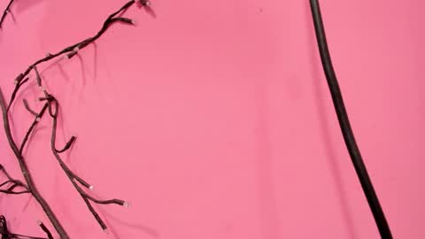 Liam online show from 01.18.26