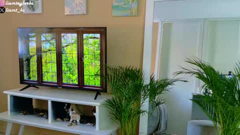 Tell me Liam online show from 12.17.25