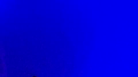 LickYourYoni online show from 01.17.25