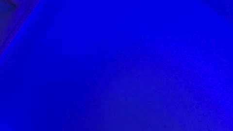 LickYourYoni online show from 01.31.25